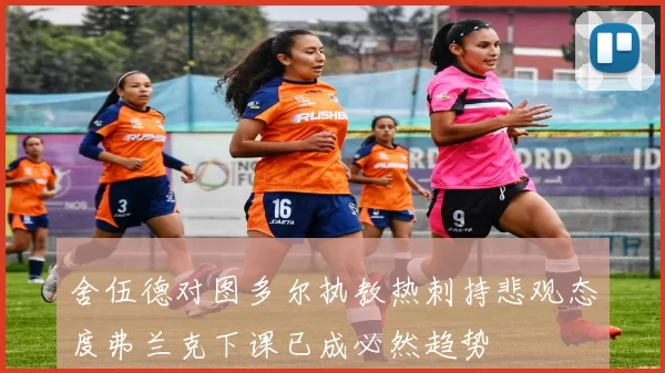 舍伍德对图多尔执教热刺持悲观态度弗兰克下课已成必然趋势